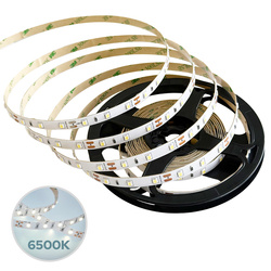 LED tape NASTRO SMD 9.6W/m 60LED/m 6500K dimmable IP20 12V DC 5m EDO777703 EDO Solutions