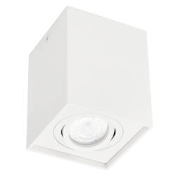 PALLAD 1 White GU10 square white EDO777109 surface mounted spot ceiling luminaire EDO Solutions