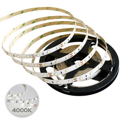 SEKRO SMD 4.8W/m 60LED/m 4000K dimmable IP56 12V DC LED strip 5m EDO777704 EDO Solutions