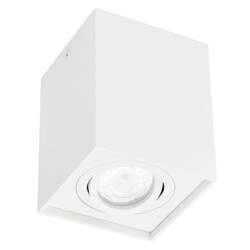 PALLAD 1 White GU10 square white EDO777109 surface mounted spot ceiling luminaire EDO Solutions