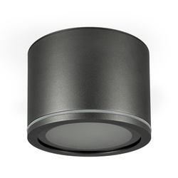 UMA bathroom luminaire, GX53, IP54, surface-mounted, round, Anthracite, EDO777543 EDO Solutions