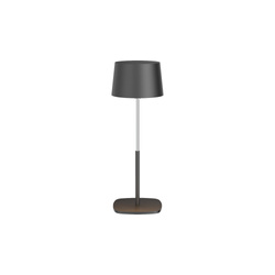 BELI 0.5W LED black table lamp with 600mAh battery IP54 warm color 50lm adjustable height 13-21 cm EDO777721 EDO Solutions